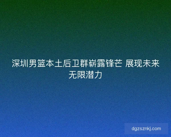 深圳男篮本土后卫群崭露锋芒 展现未来无限潜力