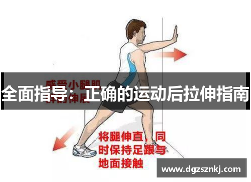 全面指导：正确的运动后拉伸指南