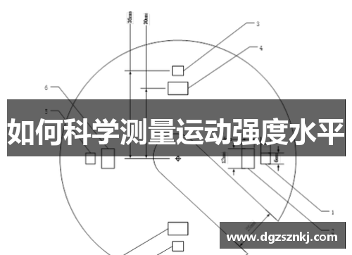 如何科学测量运动强度水平
