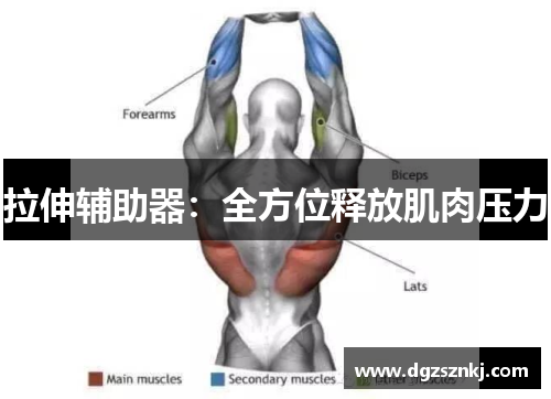拉伸辅助器：全方位释放肌肉压力