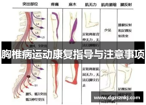 胸椎病运动康复指导与注意事项