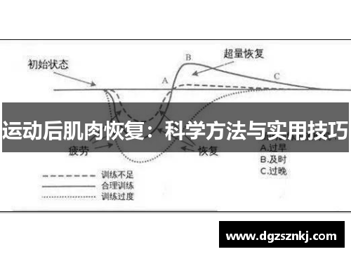 运动后肌肉恢复：科学方法与实用技巧