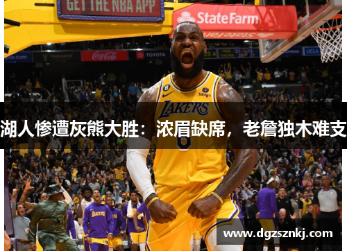 湖人惨遭灰熊大胜：浓眉缺席，老詹独木难支